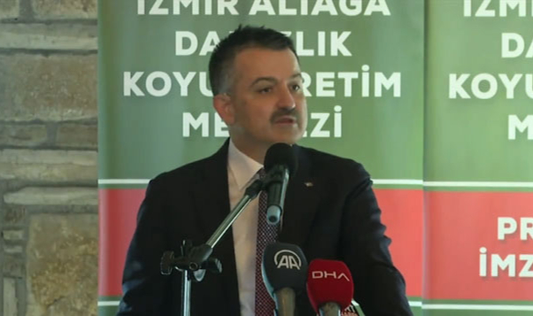 Bakandan destekleme açıklaması: Hesaplara yatmaya başladı