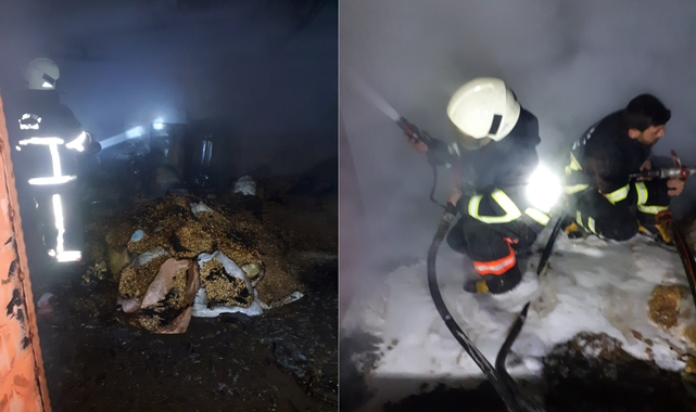 Buğday deposunda çıkan yangın büyük zarara neden oldu