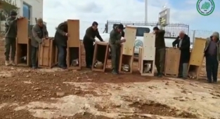 Evde izinsiz beslenen ceylanlar doğal yaşam alanlarına kavuştu