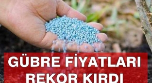 Gübre fiyatlarına bir yılda yüzde 636 zam yapıldı