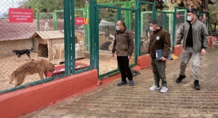 Hayvan barınaklarında denetim yapıldı