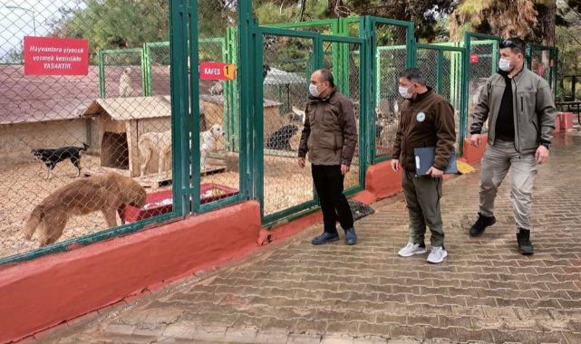 Hayvan barınaklarında denetim yapıldı