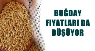 Hububat fiyatları açıklandı: Ekmeklik buğdayda düşüş devam etti