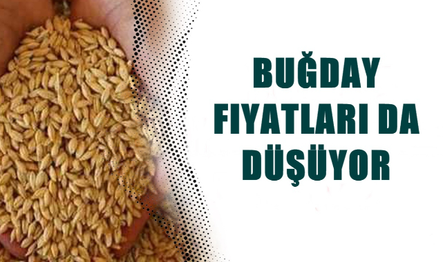 Hububat fiyatları açıklandı: Ekmeklik buğdayda düşüş devam etti