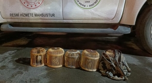 Jandarma tarafından yakalanan şahıslara rekor ceza!