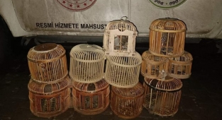 Jandarmaya yakalanan şahıs cezalandırıldı