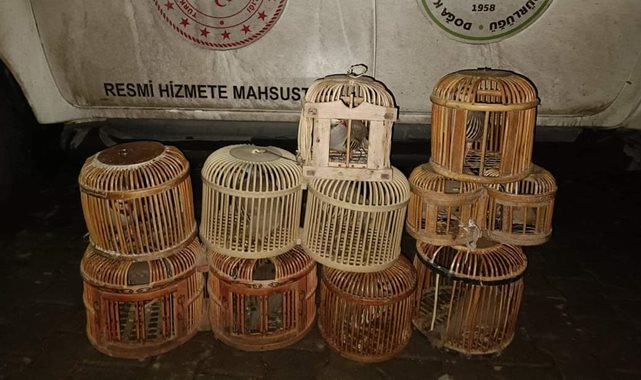 Jandarmaya yakalanan şahıs cezalandırıldı