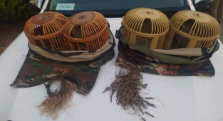 Kaçak avcılık ile mücadele devam ediyor