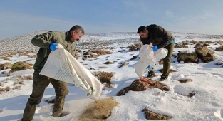 Karacadağ'da mahsur kalınca ekipler imdadına yetişti