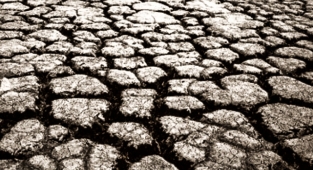 Kuraklık destekleri için tarih verildi