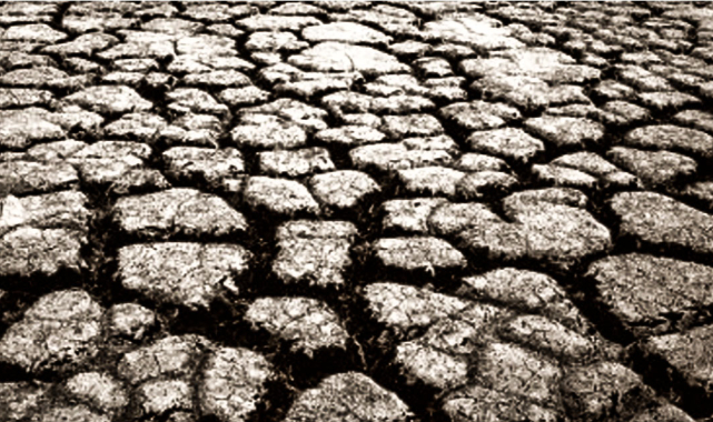 Kuraklık destekleri için tarih verildi