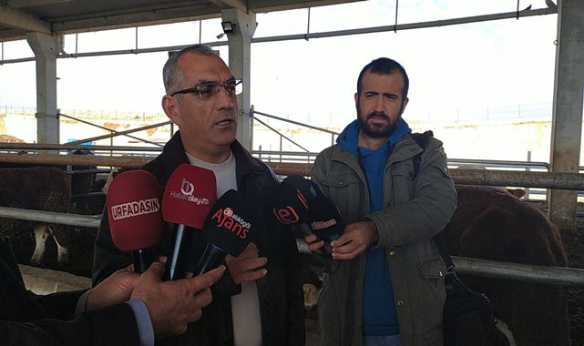 Şanlıurfa'da 223 yatırıma 291 milyon hibe desteği verildi