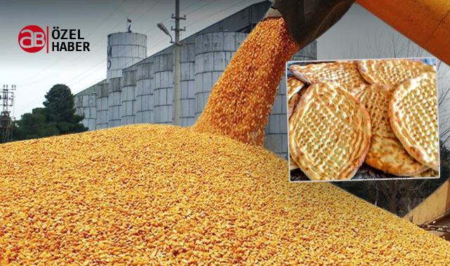 Şanlıurfa'da ekmeğe bir zam kararı daha alındı: TMO devreye girdi