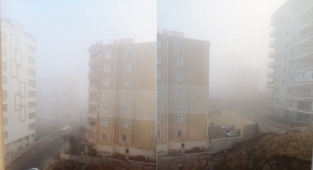 Şanlıurfa'da yoğun sis ulaşımı olumsuz etkiledi