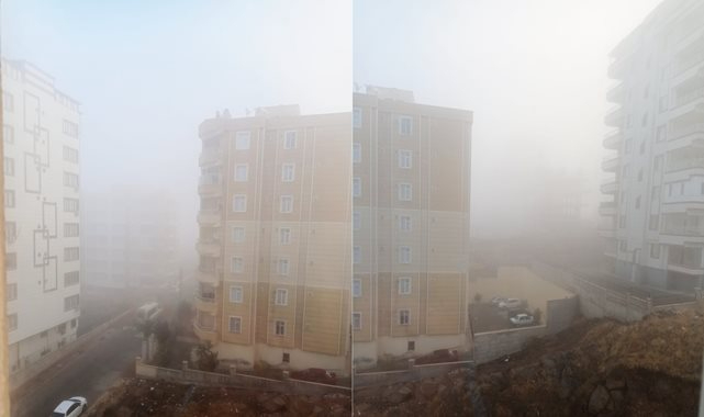 Şanlıurfa'da yoğun sis ulaşımı olumsuz etkiledi