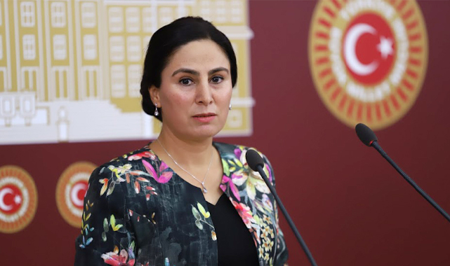 Şanlıurfa Vekili Sürücü ‘engelli’ kadın tacizlerini meclise taşıdı