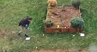 Siverek Belediyesine silahlı saldırıyla ilgili gözaltı