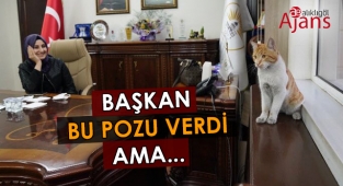 Siverek’te ‘güzel şeyler’ ihmal edilmiş