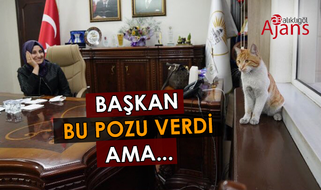 Siverek’te ‘güzel şeyler’ ihmal edilmiş