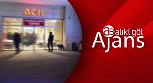 Siverek’te sürücünün virajı alamadığı otomobil yoldan çıktı