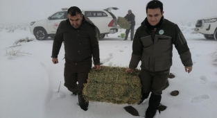 Soğuk havada aç kalan yaban hayvanları unutulmadı