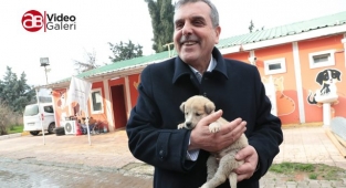 Sokak hayvanları rehabilitasyon merkezi inşaatı yükseliyor