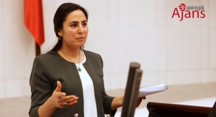 Sürücü GAP Projesini sordu: 32 yıldır neden tamamlanamıyor?