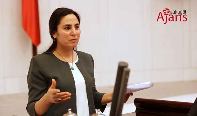 Sürücü GAP Projesini sordu: 32 yıldır neden tamamlanamıyor?