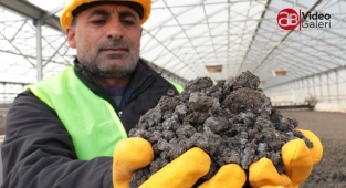 ŞUSKİ çamurdan doğal gübre üretiyor