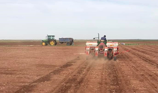 Babacan: Tarımda çok kuvvetli bir ithalat lobisi var