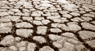 Üretici de ihracatçı da kuraklıktan endişeli