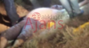 Urfa'da kan donduran olay! İşkence edilmiş erkek cesedi bulundu