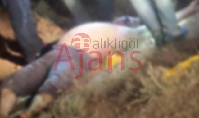 Urfa'da kan donduran olay! İşkence edilmiş erkek cesedi bulundu