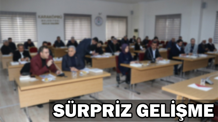 Şanlıurfa'da 17 meclis üyesi istifa etti