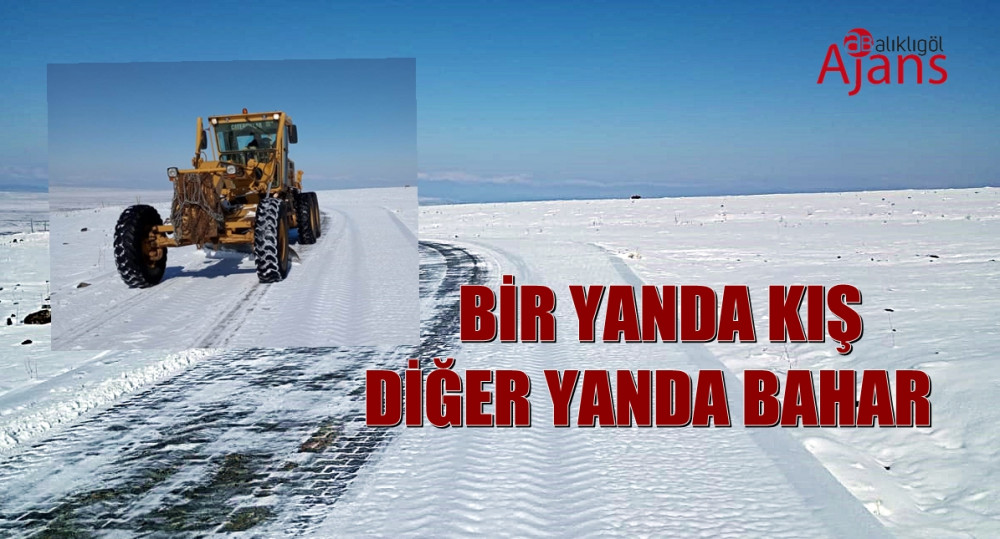 Siverek’te kış Urfa’da bahar yaşanıyor