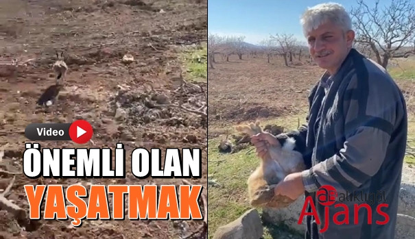 Urfa'da hayvan sever vatandaş davranışıyla takdir topladı