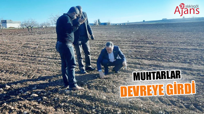 Şanlıurfa’da büyük tehlike kapıda