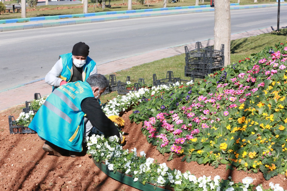 Eyyübiye’de peyzaj çalışması