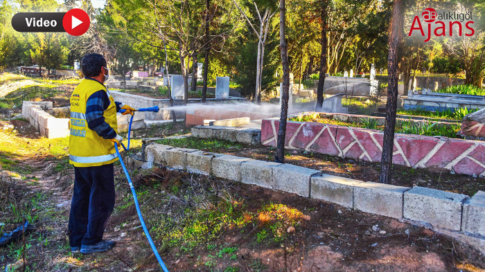 Ceylanpınar'da mücadele başlatıldı