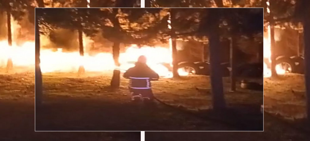 Şanlıurfa'da ormanlık alanda yangın