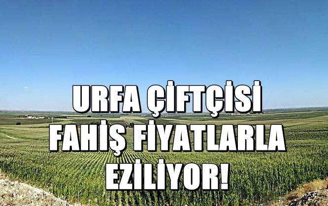 Urfa çiftçisine üç farklı birlikten üç farklı ücret tarifesi uygulanıyor