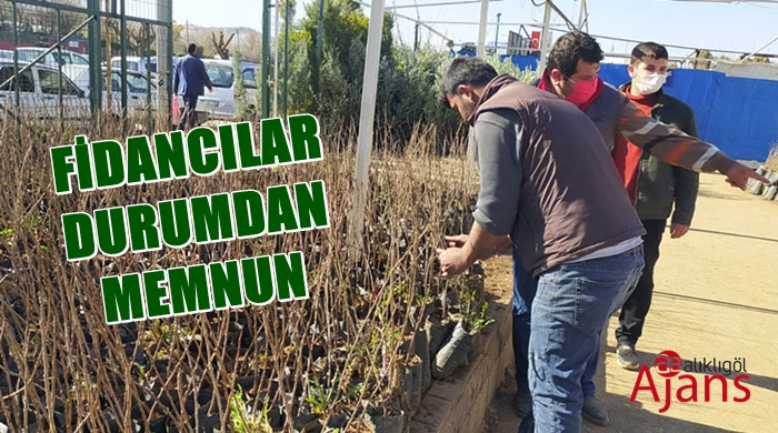 Fidan satışları pandemiyi yendi