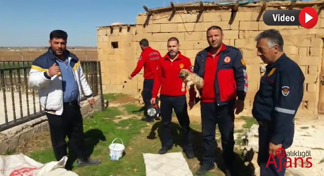 Kuyuya düşen köpeğin yardımına itfaiye yetişti