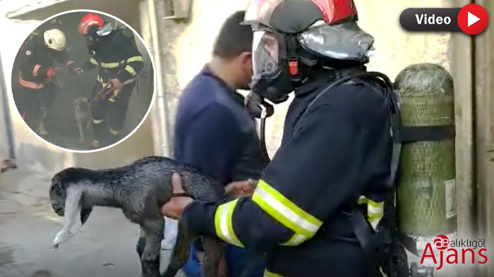 Şanlıurfa’da facia son anda önlendi