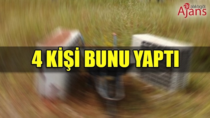 Şanlıurfa'da işyerine giren hırsızlar yakalandı