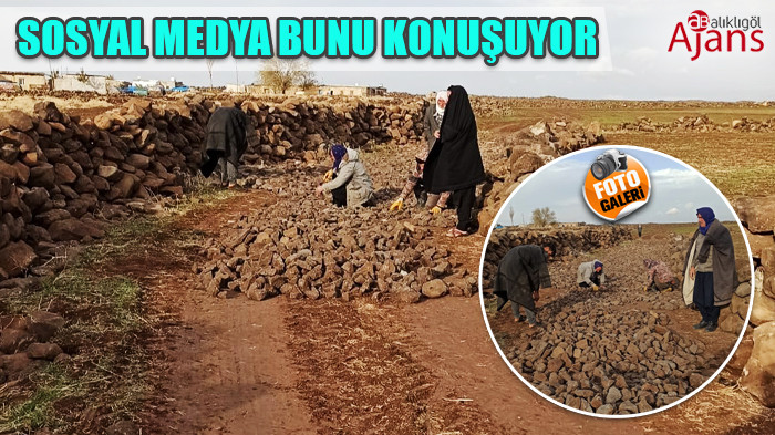 Siverek'te mahalle kaderine terk edildi