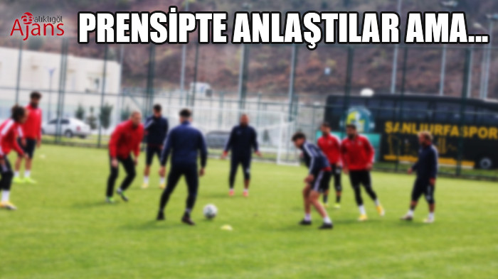 Şanlıurfaspor’da teknik direktör çıkmazı