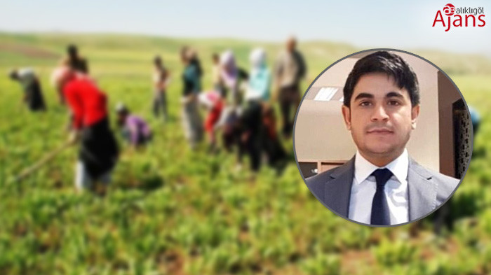 Tarım işçiliğinden kaymakamlığa...
