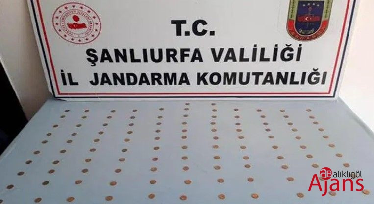 Viranşehir'de define avcılarına darbe vuruldu