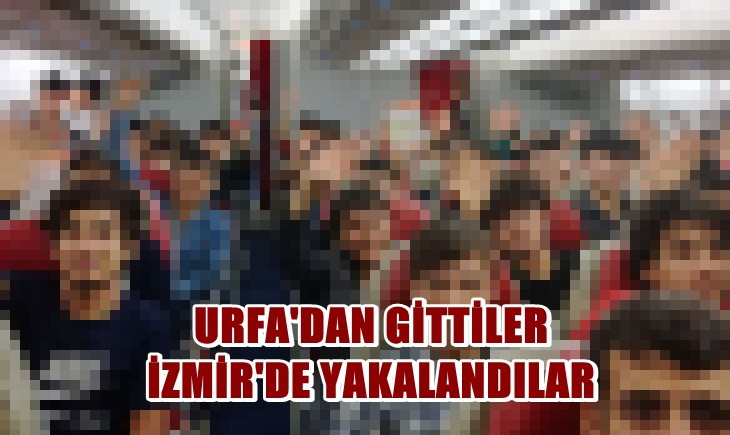 Urfa'dan giden 55 kişi İzmir'de jandarmaya yakalandı